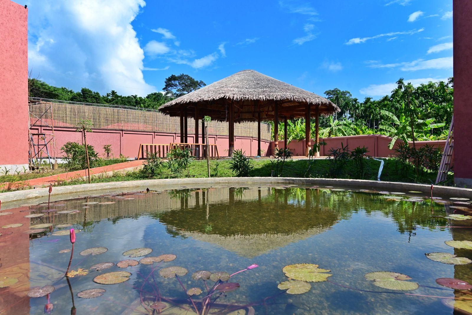 WhatsApp Image 2025-10-26 at 21.22.54_6989fbd4